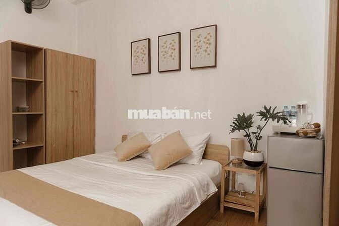 Phòng cửa sổ lớn, yên tĩnh, lầu 1/3/4, ngay mặt tiền PXL