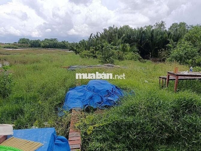 Bán đất nền đường bà xán xã Bình Khánh huyện cần giờ