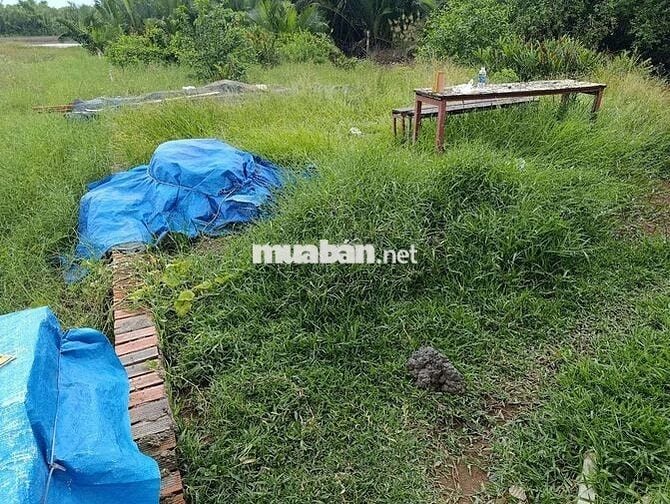 Bán đất nền đường bà xán xã Bình Khánh huyện cần giờ