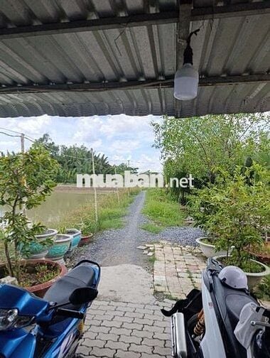 Bán đất nền đường bà xán xã Bình Khánh huyện cần giờ