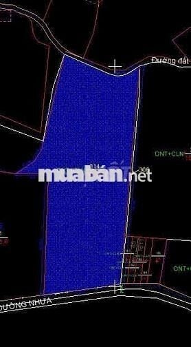 Bán lô đất đẹp tọa lạc tại tóc tiên, phú mỹ, brvt