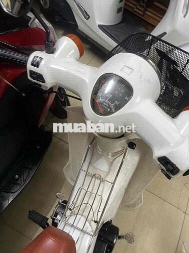 Cup 50cc