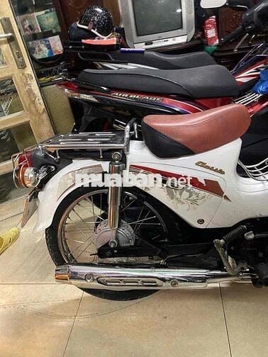 Cup 50cc