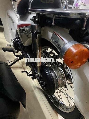 Cup 50cc