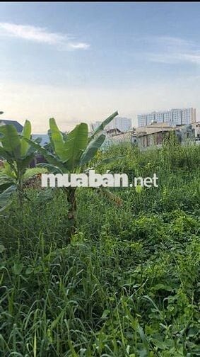 Bán ĐẤT ĐẸP, ĐƯỜNG Ô TÔ ngã 4 cầu Bình Phước, Hiệp Bình Phước, TĐ