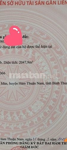 Bán gấp 01 trong 02 thửa đất chính chủ gần ngay ga, chợ, trường, KDC