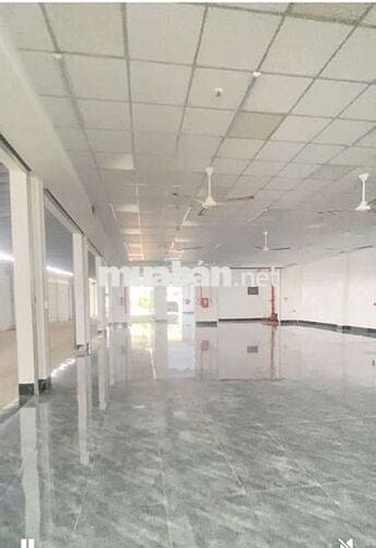 Xưởng cho thuê Xuân Thới thượng hóc môn DT 1300m giá 70tr có pccc