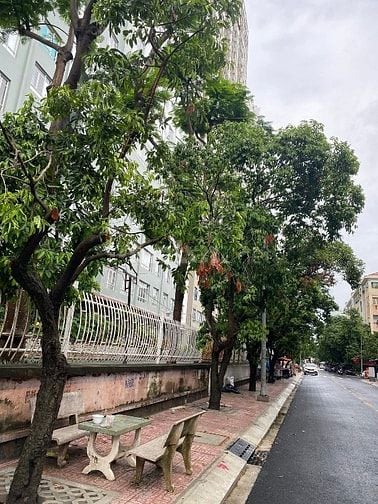 Bán nhà MT Hoàng Kim Giao P5Q8. 4x20m 1 trệt 1 lửng 2 lầu ST