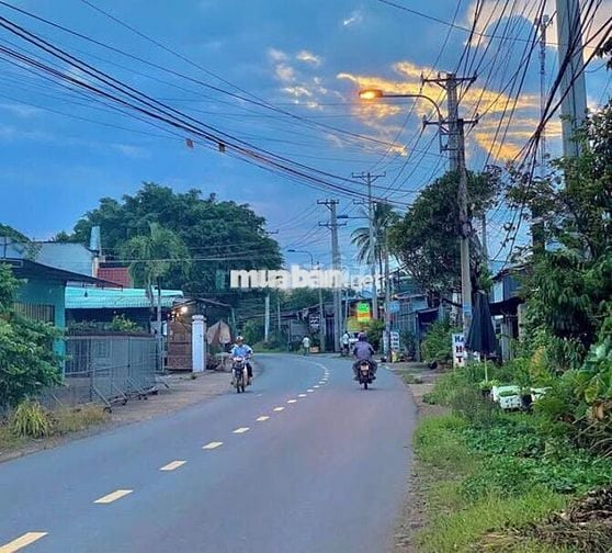 Bán gấp lô đất 1.500m² cạnh hồ Trị An, vị trí đắc địa giá mềm