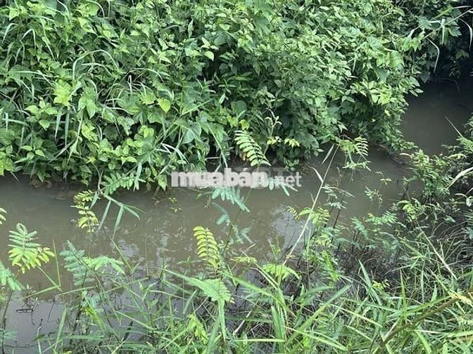 Bán gấp lô đất 1.500m² cạnh hồ Trị An, vị trí đắc địa giá mềm