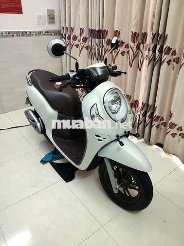 Honda Scoopy 2024 chính chủ mới như xe hãng 99%