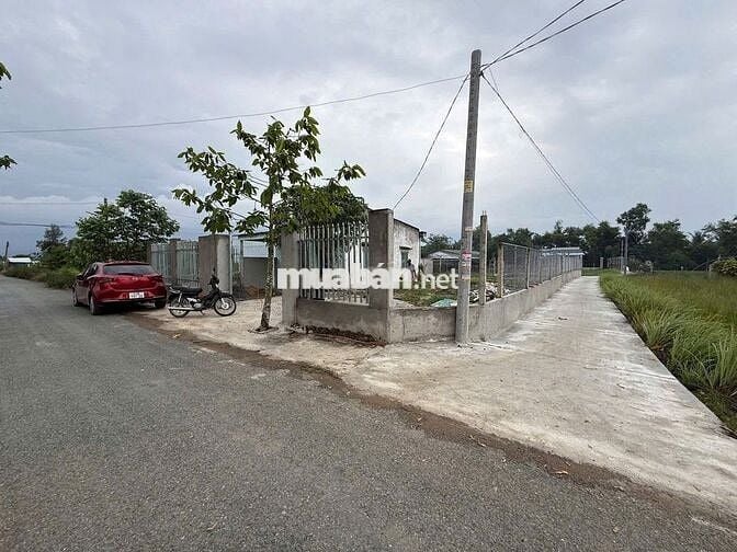 Đất Trường Bình, Cần Giuộc. 120m2/560tr. SHR, full thổ, có ranh sẵn.