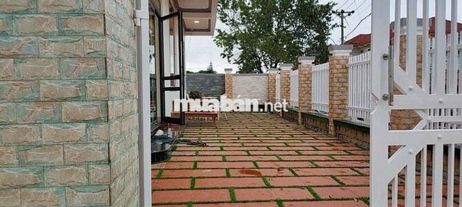 Cho thuê villa sân vườn 6 phòng phường 8 đà lạt 23 triệu/tháng