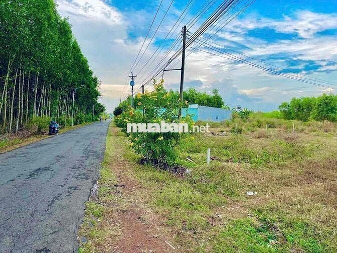 BÁN MẢNH ĐẤT GẦN NÚI CHỨA CHAN
