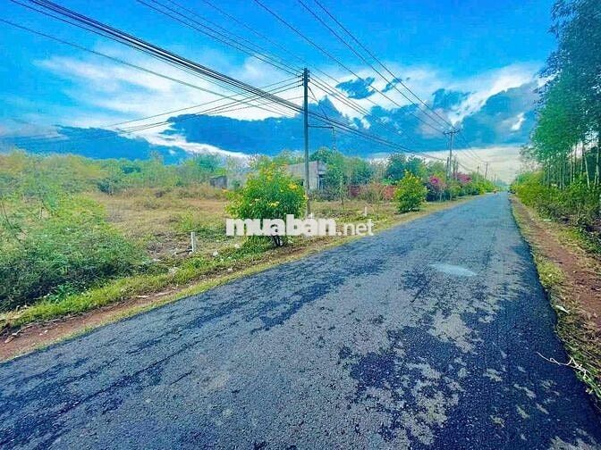 BÁN MẢNH ĐẤT GẦN NÚI CHỨA CHAN