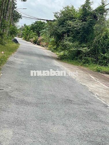 GẤP CHO LÔ ĐẤT ĐẸP TẠI THÁI MỸ. 305M2 GIÁ TỐT CHO KHÁCH THIỆN CHÍ. SHR