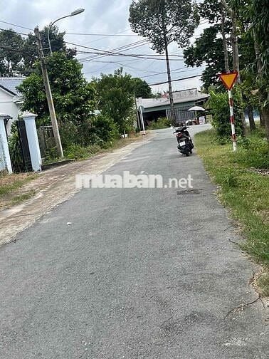 GẤP CHO LÔ ĐẤT ĐẸP TẠI THÁI MỸ. 305M2 GIÁ TỐT CHO KHÁCH THIỆN CHÍ. SHR