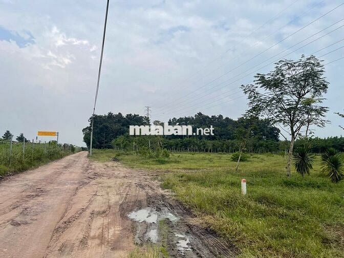 ⭐️⭐️⭐️ Giảm sốc 29 tỷ! 4.7Ha Đất SHR Sát sân bay Long Thành – Đồng Nai