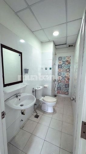 Cho thuê căn hộ chung cư Topaz Home Q12