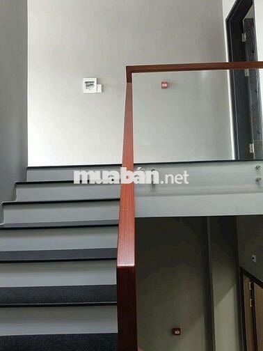 Cho thuê nhà nhà mới 100% mặt tiền hoàng hoa thám Phúc Đạt