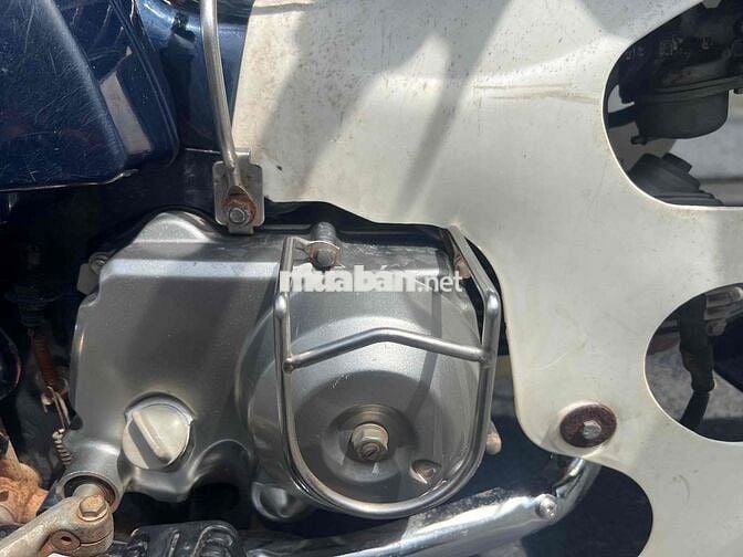 Cup 81 50cc ( cho học sinh đi học )