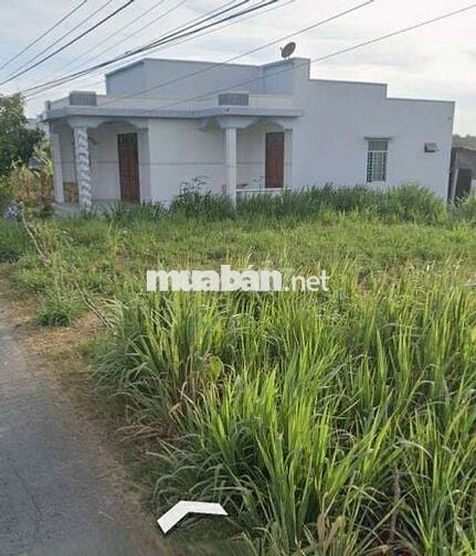 Đất đẹp Tiền Giang 130m2 chỉ 1 tỷ 450 , xã Tân Điền ,Gò Công Đông