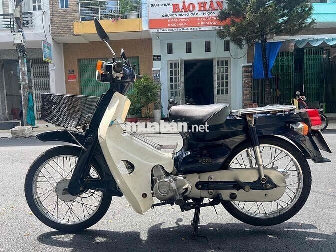 Cup 81 50cc ( cho học sinh đi học )