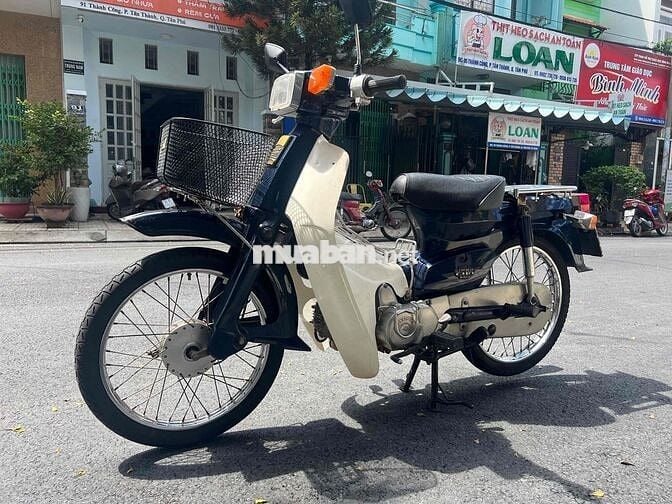 Cup 81 50cc ( cho học sinh đi học )