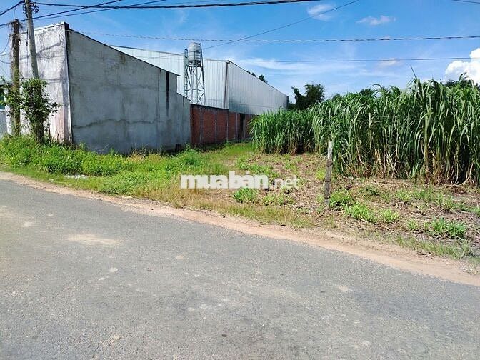CHÍNH CHỦ KẸT TIỀN BÁN RẺ LÔ ĐẤT ĐƯỜNG NHỰA 206M² 350TR, BAO SỔ SÁCH