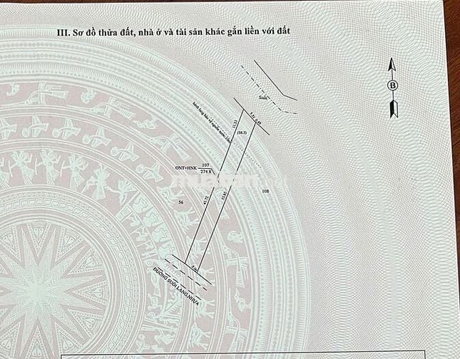 CHÍNH CHỦ KẸT TIỀN BÁN RẺ LÔ ĐẤT ĐƯỜNG NHỰA 206M² 350TR, BAO SỔ SÁCH