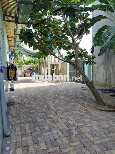 🏠 CẦN BÁN DÃY NHÀ TRỌ 2 MẶT TIỀN ĐƯỜNG NHỰA 1200m2 Thổ Cư – DÒNG TIỀN