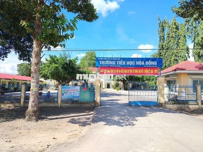 CHÍNH CHỦ KẸT TIỀN BÁN RẺ LÔ ĐẤT ĐƯỜNG NHỰA 206M² 350TR, BAO SỔ SÁCH