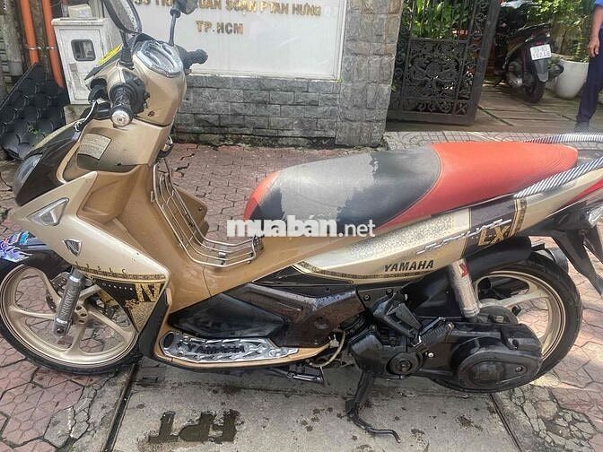 xe novo 4 vàng đen