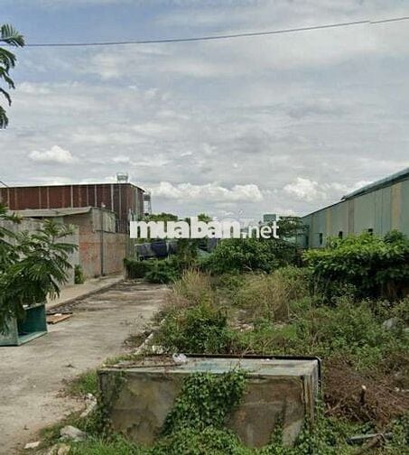 Bán đất cho con đi du học Mt Lại Hùng Cường,VLB, Bình Chánh giá 2tỷ230