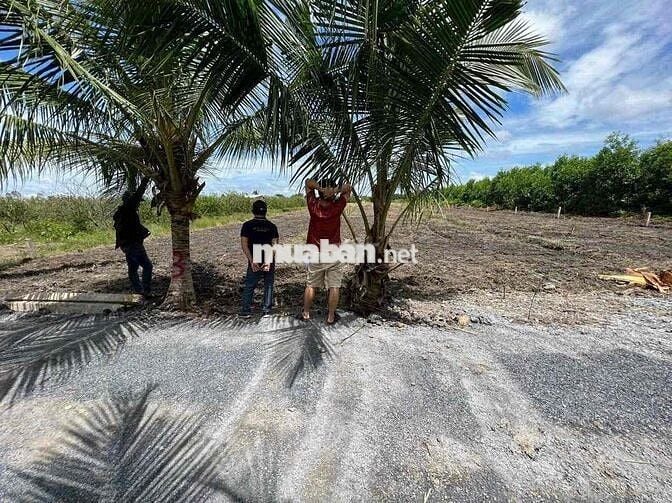 1000m Đất Vườn,Sổ Thể Hiện Đường 4m