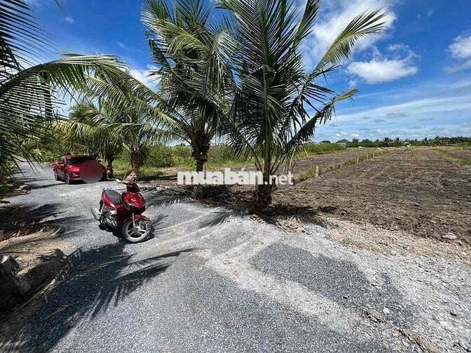 1000m Đất Vườn,Sổ Thể Hiện Đường 4m