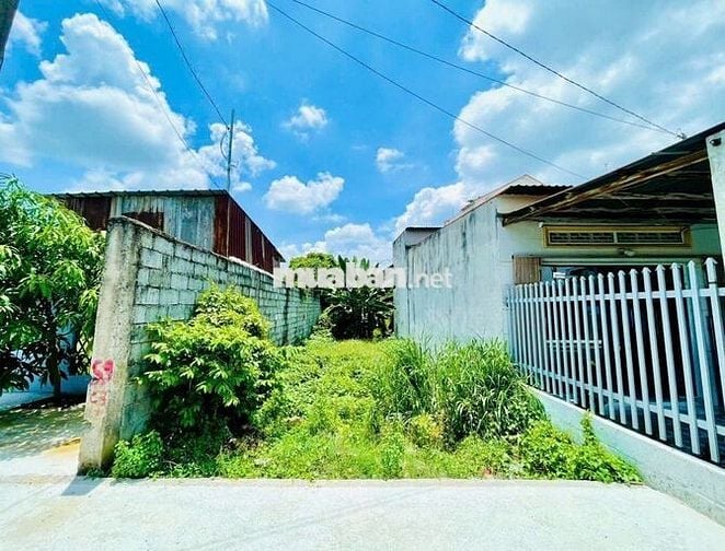 CẦN TIỀN SỬA NHÀ, CÔ HÀ GỬI BÁN LÔ ĐẤT 152M2 CÁCH SVD CỦ CHI 500M, SHR