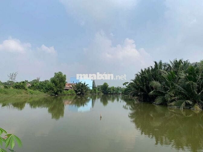 Cần bán đất nông nghiệp mặt tiền đường  Nghĩa trang Nhơn Đức LVL