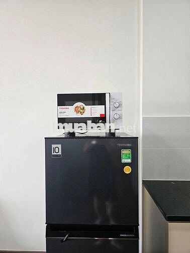 Cho thuê căn hộ Ehome tại thành phố ven sông Waterpoint Nam Long