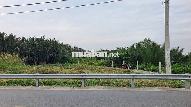2000m2 đất CLN, san lấp cao ráo, mt Nguyễn Bình, Nhơn Đức, Nhà Bè