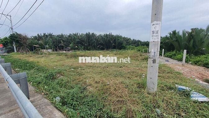 2000m2 đất CLN, san lấp cao ráo, mt Nguyễn Bình, Nhơn Đức, Nhà Bè