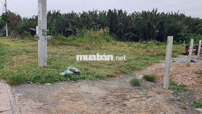 2000m2 đất CLN, san lấp cao ráo, mt Nguyễn Bình, Nhơn Đức, Nhà Bè