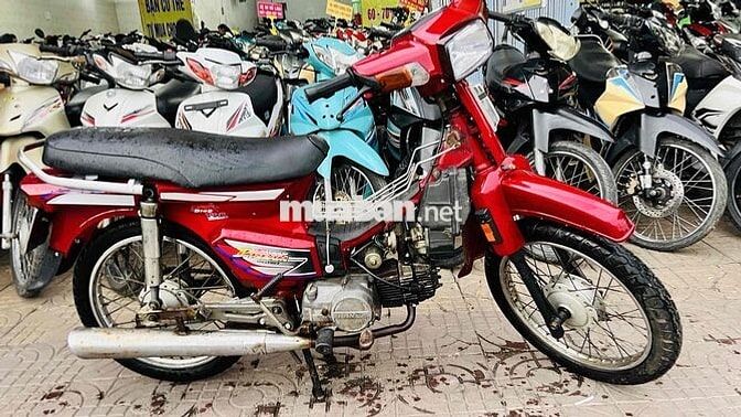 citi 100 chở hàng