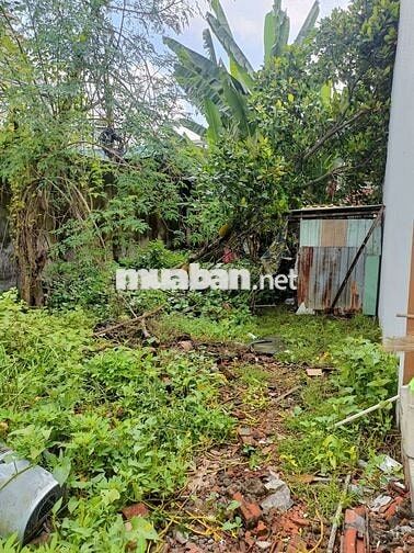 🇻🇳🇻🇳. ĐẤT THỔ CƯ , SHR 6X17 ẤP HẬU LÂN , BÀ ĐIỂM
