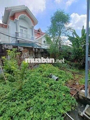 🇻🇳🇻🇳. ĐẤT THỔ CƯ , SHR 6X17 ẤP HẬU LÂN , BÀ ĐIỂM