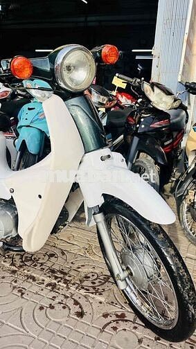 cub 50 đèn tròn đời mới có đề