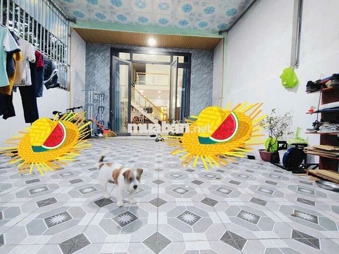 Bán Nhà Sổ Riêng  gần Chợ KP4 Phường Trảng Dài, Biên Hòa, Đồng Nai