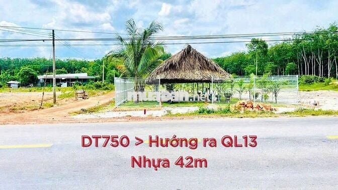 Đất nền 250m2, Mặt tiền DT750, xã Long Hóa, TP HCM (Dầu Tiếng, BD cũ)