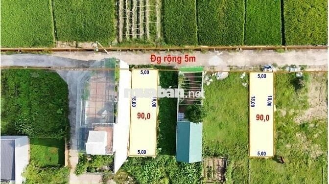 Bán đất ĐẤU GIÁ – BÌA LÀNG- Đại Bằng Nguyên Khê, Đông Anh, Hà nội