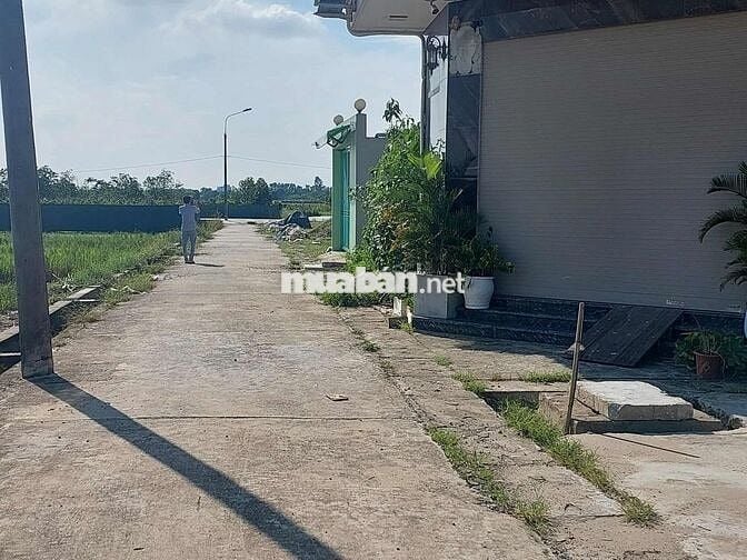 Bán đất ĐẤU GIÁ – BÌA LÀNG- Đại Bằng Nguyên Khê, Đông Anh, Hà nội